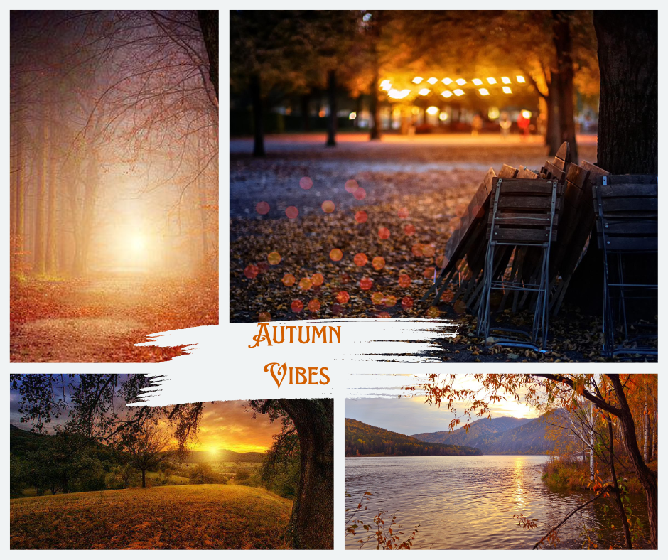 The Autumn Collection